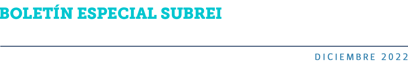 Boletín Especial Subrei - Marco de Concenso Ético